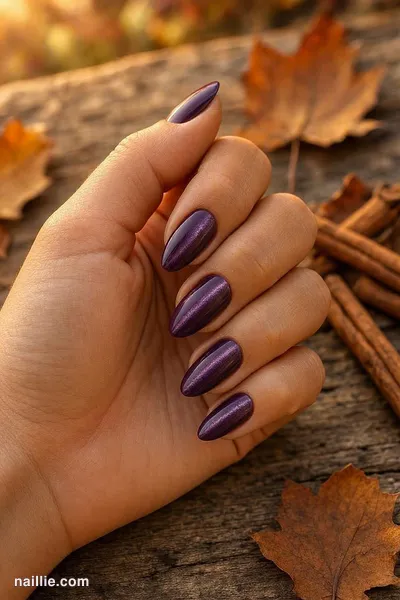 Close-up of almond nails with deep plum polish and a shimmering magnetic cat eye effect — look 2